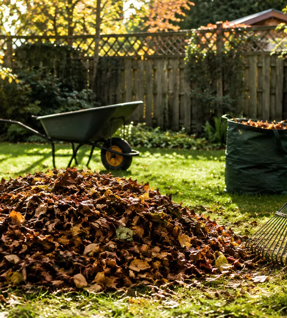 Yard Waste Removal: a pile of leaves and yard waste with a wheelbarrow and rake